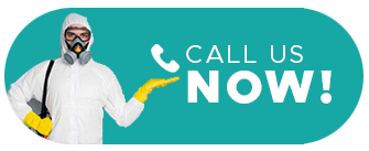 Request My Free Consultation