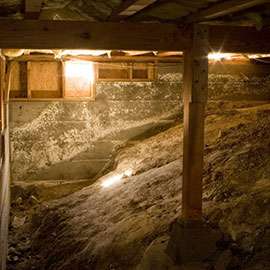 Crawl Space